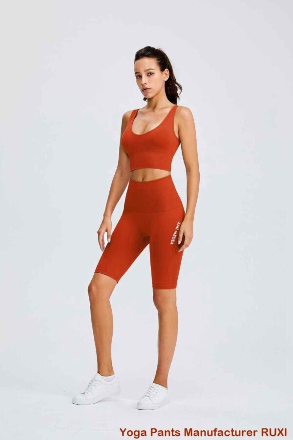 Leggings de cintura alta con escote en V sin costuras RUXI